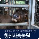 청산사슴농원 네이버블로그