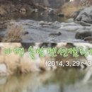 솔밭펜션 캠핑장 이미지