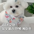 유우블리(U_vely) 이미지