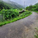 배티농장 이미지