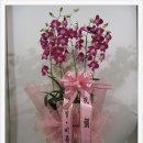 비룡어린이집 이미지