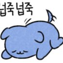 미사서울동물병원 네이버블로그
