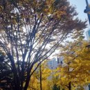 태현공원앞 이미지