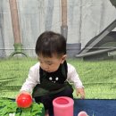 (주)팜스데이