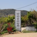 산마을다람쥐 이미지