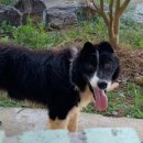 태형목장 이미지