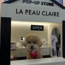 안녕동물병원 | 압구정 강아지 피부과 라퓨클레르 : 강남 동물병원 피부 클리닉 후기