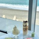 울산 정자동 카페 | 울산 오션뷰 카페 대형 베이커리 추천 ‘카페 높’