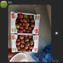 동건농장 | 광주근교아이랑 자두따기체험 장성 동건이네 농장