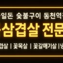 금일돈