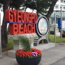 주문진터미널 이미지