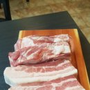 엉터리생고기 이미지