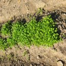 송추요양병원 이미지