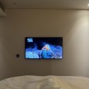 신라스테이 삼성 조식 후기, 코엑스 호캉스 숙소로 만족했던 1박 2일