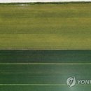 들녘 옷 이미지