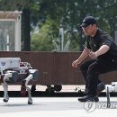 스카이넷