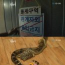 조인호 농장 이미지