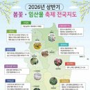 산청산양삼 | 2026 상반기 봄꽃 산나물 임산물 축제 전국 소개 지도