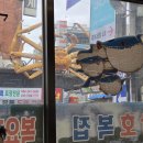 삼호복집 이미지