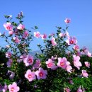 별난염소농장 이미지