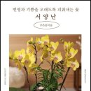 푸른꽃마을 - 원주시 원문로 164 | 푸른꽃마을