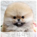 몽글몽글 이미지