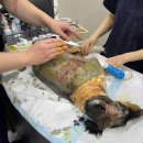 일파만파농장 이미지