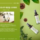 참다운주식회사