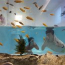 산타풀빌라 이미지