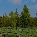 용문산모텔 이미지