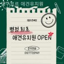 댕구르르 유치원 이미지