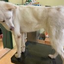 살롱드 베베 이미지