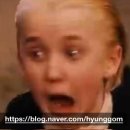 더프리미엄신촌독서실 | 441. 더클루 신촌프리미엄점 < 후플푸프 > 신촌 방탈출 후기