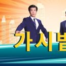 단담 이미지