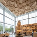 지혜의 나무 이미지