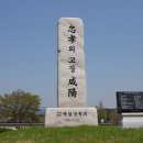 위림초교 이미지