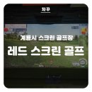 계룡 레드 스크린 네이버블로그
