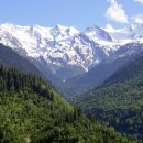 신한국공인중개사사무소 이미지