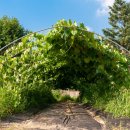 해원농장 이미지