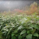 대풍농장 이미지