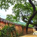 금강국제여행사 - 제주시 연북로 25 | 금강국제여행사