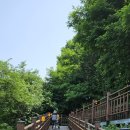 공설운동장길(공설운동장) 이미지