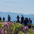 황매산군립공원 이미지