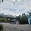 서귀포시가족센터 | 제주 아이와 가볼만한 곳 서귀포 국제평화센터 진심 강추 후기