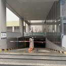 알파시티1로 4길 | 대구 수성구 탈모 가성비 두피관리 태후사랑 수성알파시티점