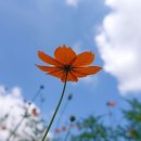 바른이김대식치과의원 이미지