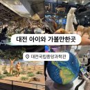 대전교육과학연구원 지하1층 | 대전 아이와 실내 가볼만한 곳 국립중앙과학관 생물탐구관 자연사관 과학기술관 예약