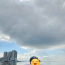 웅천친수공원 티스토리