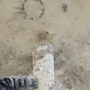 내진파일
