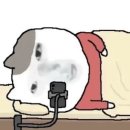 숲속의향기 이미지